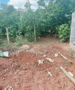 Đất Eatu Phường Tân An mới.