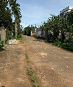 Đất đẹp đường nhựa  22B đạt lý - Phường Tân An